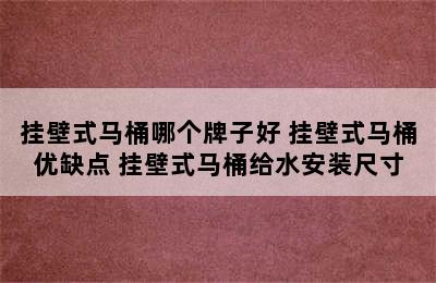 挂壁式马桶哪个牌子好 挂壁式马桶优缺点 挂壁式马桶给水安装尺寸